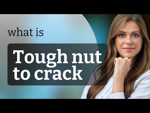Understanding the Phrase "Tough Nut to Crack"