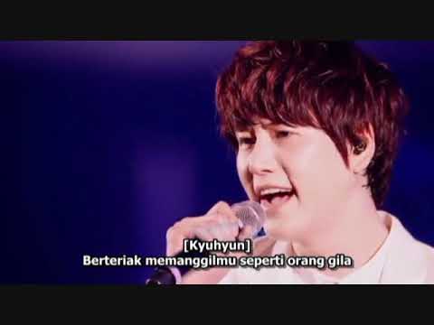 Super Junior SS5 Seoul Memories Sub Indo SONE L A