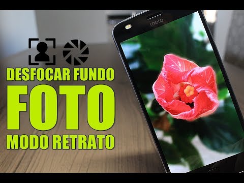 Vídeo: Como Tirar Uma Foto Com Um Fundo Desfocado