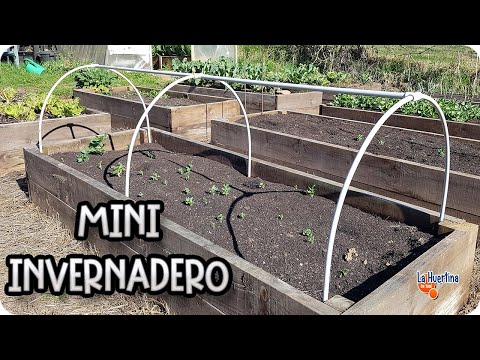 Construyendo un mini-invernadero de pvc