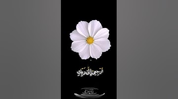 صباح الخير🤍 اجمل حالات واتس اب مقاطع قصيره🤍 قران كريم سورة الفجر 🤍ياأيتها النفس المطمئنة🤍 بدون حقوق