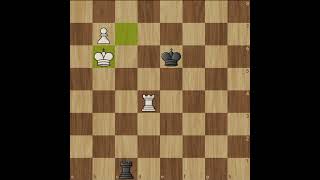 Rook Held the Line ♜😼 #chess #chessgame #checkmate