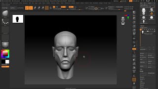ZBrush : Simplified head modeling technique in 30 minutes.