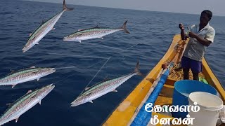 LONG LINE FISHING VIDEO IN KING MACKEREL /நீளமான தூண்டில் மூலம் வஞ்சரம் மீீன் பிடிக்கும் காட்சி🦈🐠