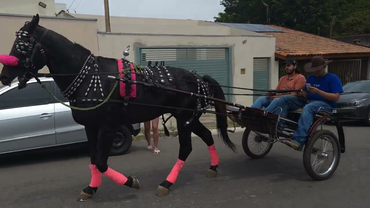 Cavalgada da  Fé em Salto. Nossa Senhora da Aparecida.  Salto 2025  . 