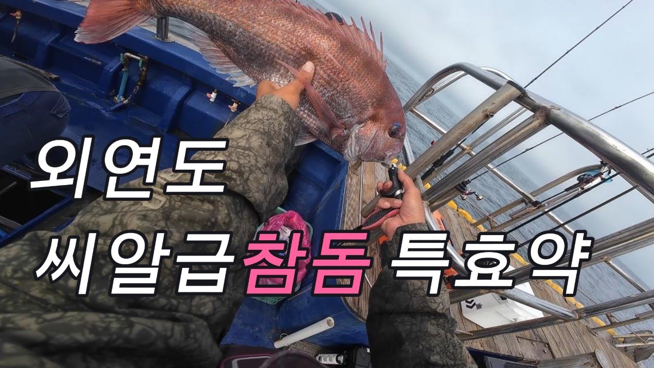 참돔 타이라바 지금 시기부터는 이걸 쓰면 됩니다.