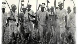 Convicts at the Ramsey & Retrieve State Farms Lost John (1951)