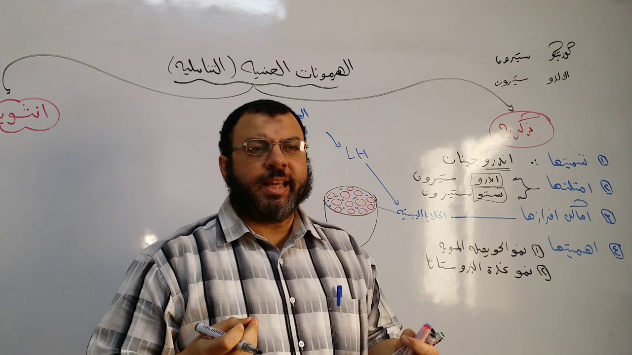 الهرمونات الجنسية Sexual hormones