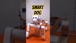 SMART DOG 🐶🐾| #Make_A_Creativity #creation  #experiment #diy #arduinoproject #electronic #tvk #ipl