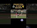 STRAIGHT STEAL OF HOME AT THE #MCWS | #CWS #WVU #stolenbase #westvirginia #collegebaseball #bseball