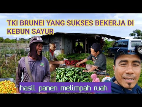 Sayur Masakan Brunei