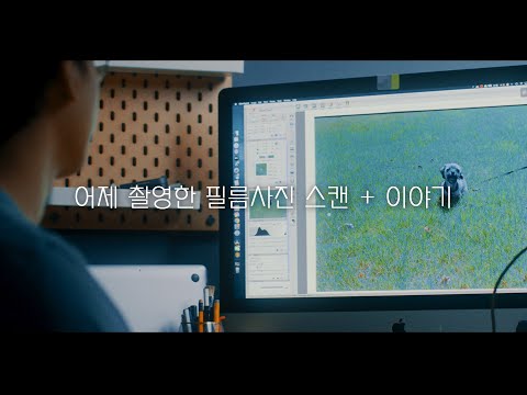 어제 촬영한 스트릿 필름사진 스캔 + 사진 이야기 - 어제 촬영한 스트릿 필름사진 스캔 + 사진 이야기