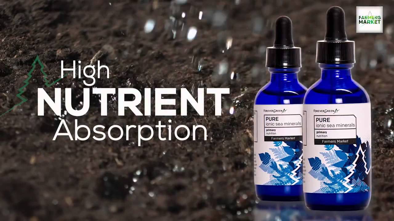 PURE | The Superfood Of All Superfoods