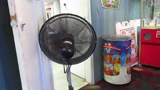 King Of Fans Industrial Stand Fan Sighting