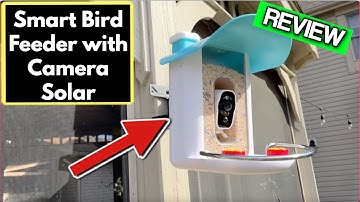 Smart Bird Feeder with Camera Solar Powered REVIEW