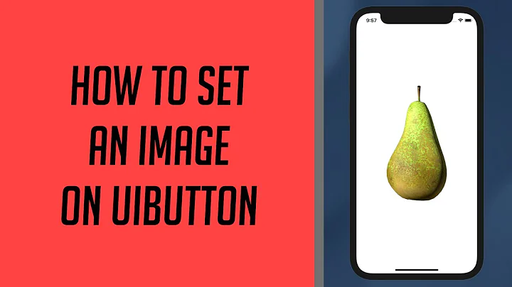 How to set an Image on UIButton