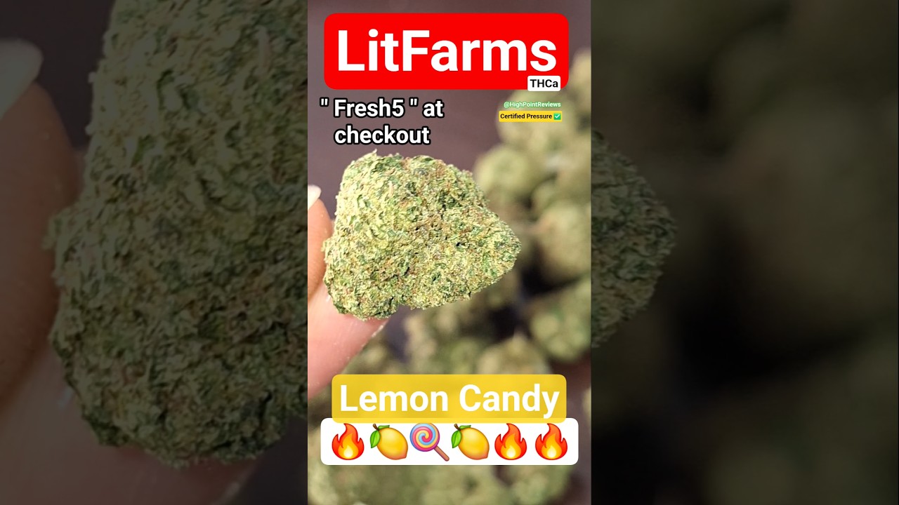 A Summer Classic 🍋🔥😃 LitFarms : Lemon Candy THCa [ Essential ] 