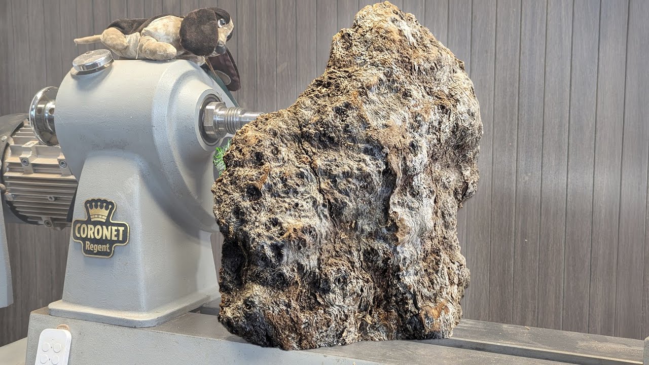 It LOOKED Like a Rock – But You’ve Never Seen Wood Like This