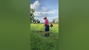ตัดหญ้าสะสมความสมบูรณ์ให้พื้นดิน#เกษตรอินทรีย์ลดต้นทุนเพิ่มผลผลิต#โคกหนองนา#fruit 🥰👍