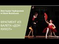 Don Quixote: Victoria Tereshkina & Ivan Vasiliev / «Дон Кихот»: В. Терешкина, И. Васильев