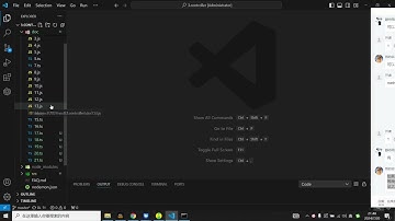 nestjs - 43 处理导入导出模块
