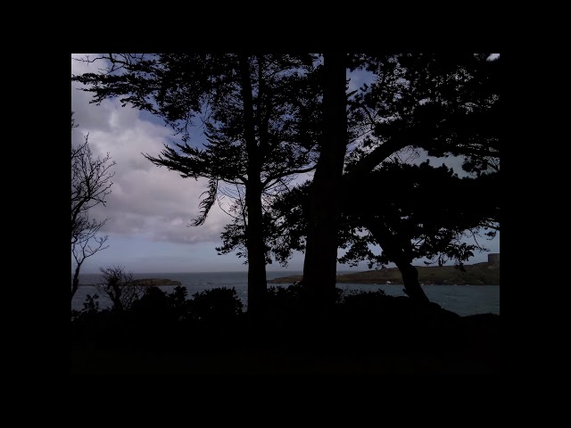 Bojan, Gorišek, Satie - Gnossienne No.3 (with rain in the background)