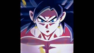 Super Saiyan 4 Vegito Is Born