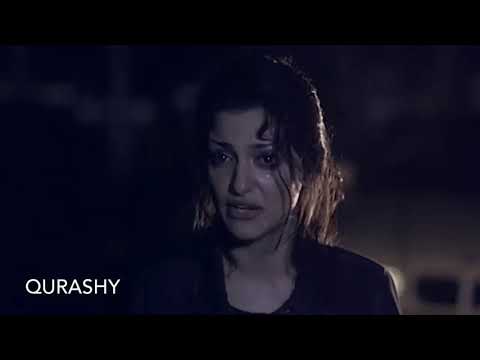 عمرو حسن الفراشة