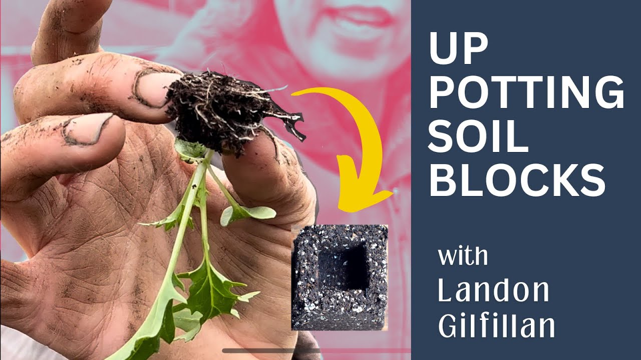 Making Pot Blocks How to Up-Pot Soil Blocks (Moving the 3/4