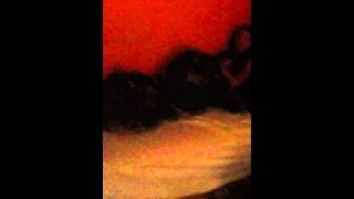 Toked up 3 episode 1 part 2
