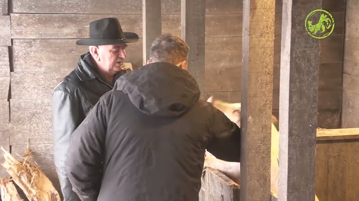 Farma: Kristijan i Proka obišli imanje Farme  - 23.12.2024