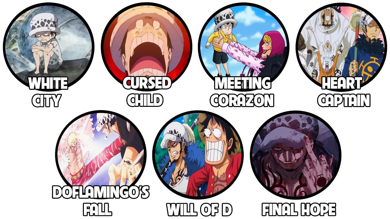 Câu Chuyện Bi Kịch Về Law Trong One Piece! Giải Thích Trong 26 Phút