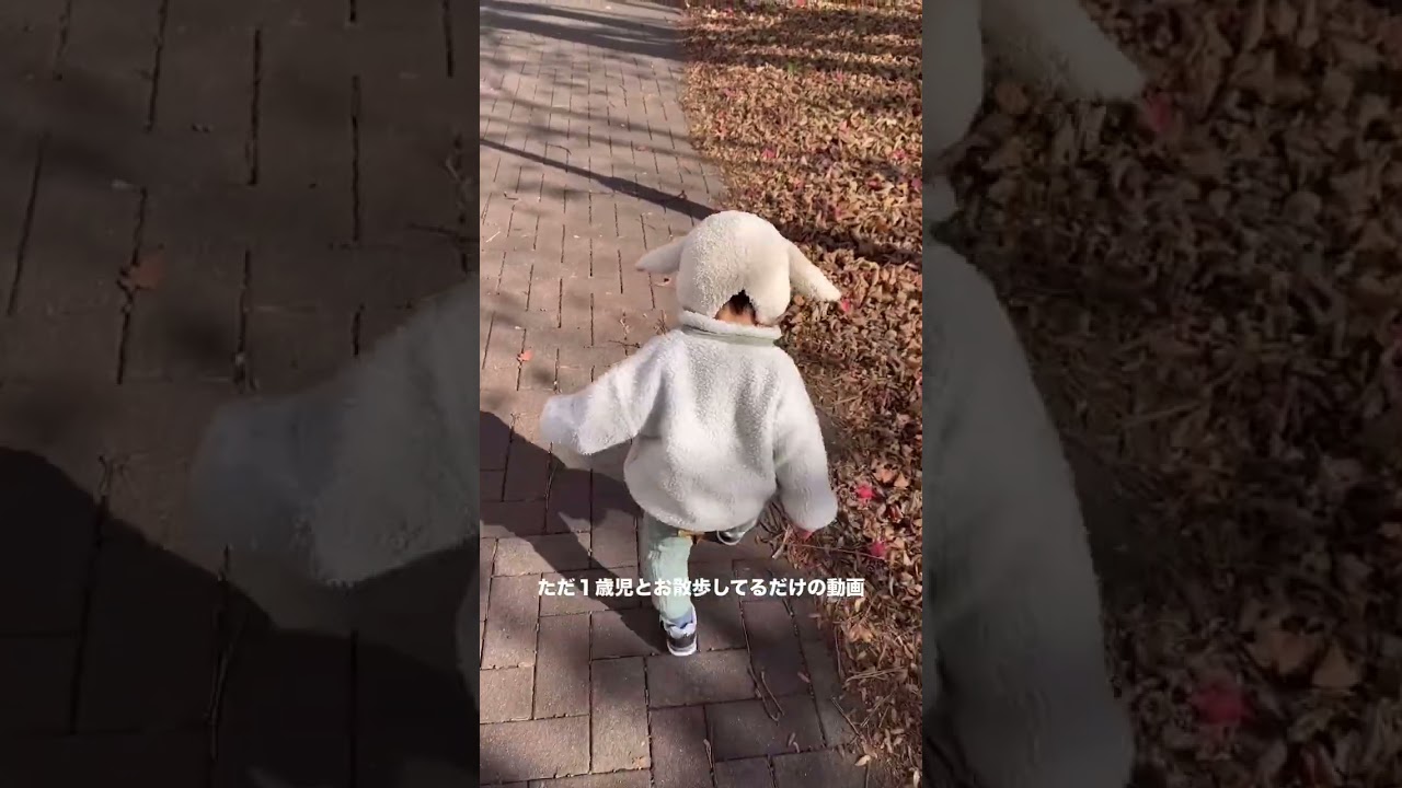 お散歩🍂