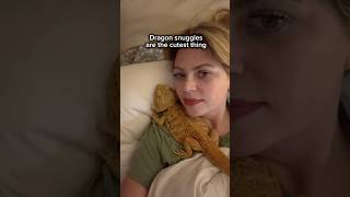 Not To Brag- But I Got Beardie Snuggles Last Night. What Did You Do?