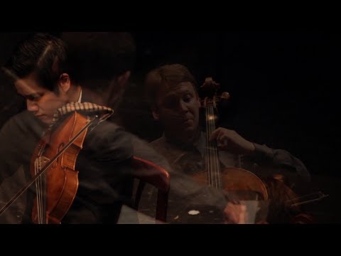 Haydn: String Quartet No. 60 (mvt. 2)