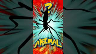 Who&#39;s That ANIMAL?! (ep. 63) #shorts #animals #quiz | Animal Fact Files