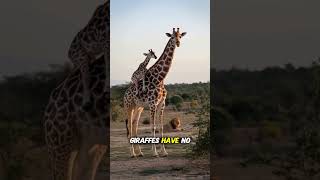 08 Weird Facts About Animals #animalsfacts #animals #facts #viralreelsシ  #factclawai