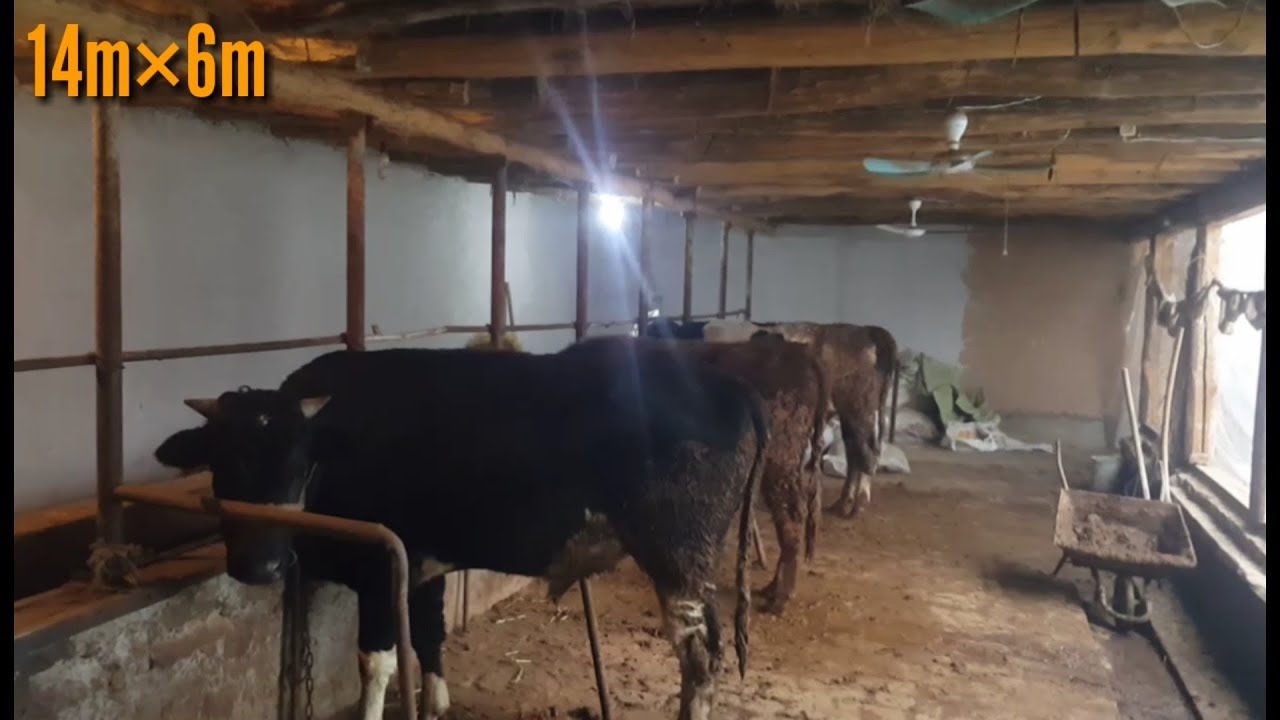 Молхона куриш проекты