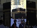 SubhanAllah 🕋🌸❤️ #motivation #hijab #lifeisbutadream #facts #duet #yt