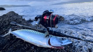 Scottish Rock Fishing | Mackerel \u0026 Sea Trout on Lures Scottish Rock Fishing | Mackerel \u0026 Sea Trout on Lures