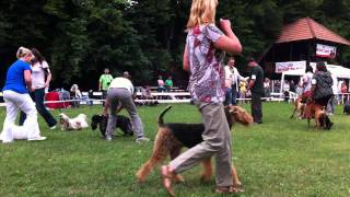 4. Krajská Výstava Psů Plemen Fci, 23.7.2011, Brno-Žebětín