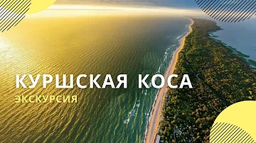 Куршская коса: достопримечательности | Экскурсия по национальному парку