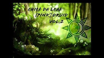 GW2 WvW roaming Power Druid ranger build Chief [PINK]