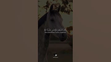 سورة الفرقان أيه ٢٩-٣٠ محمد اللحيدان