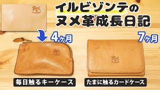 【IL BISONTE】良い服のイルビゾンテ ヌメ革成長日記Vol.1【毎日触るキーケース、タピオカ飲む時だけ触るカードケース】