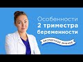 Второй триместр беременности | Почему хочется мела?