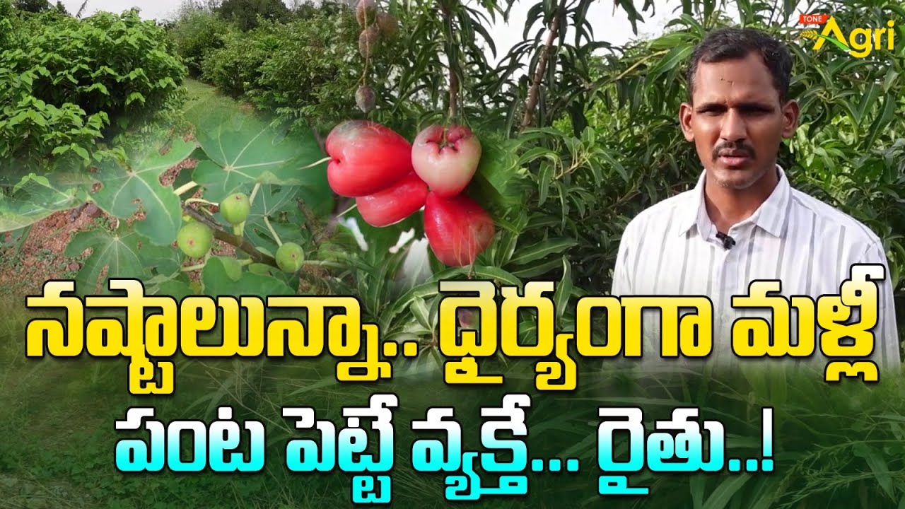 Exotic Fruit Varieties Farming | నష్టాలున్నా.. ధైర్యంగా మళ్లీ పంట పెట్టే వ్యక్తే... రైతు.. Tone Agri