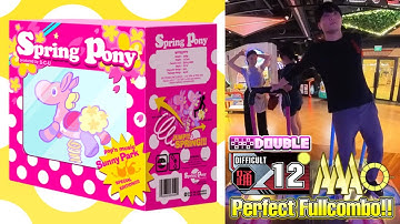 [DDR A3] spring pony DDP-12 PFC