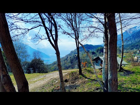 View of Morbegno from Costiera dei Cech , Sondrio, Lombardy,  Italy !! Bella Valtellina!❤️🇮🇹