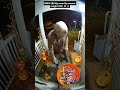 Caught on Camera: Zombie Raiding Halloween Treats! 🎃💀